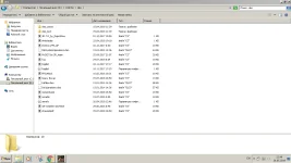 cleo.webp