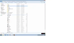 Безымянный1.webp