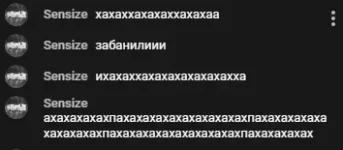 2222.webp