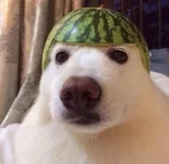 q1Br3z_h7iI.webp