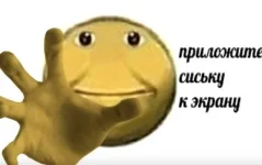 p3N08lGLiw4.webp
