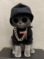 1650230818336.webp