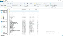 cleo2.webp