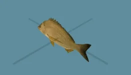 изображение_2024-07-30_012402421.webp
