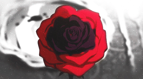 zJg.gif