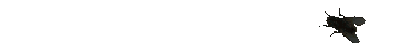 tV3IIMB.gif