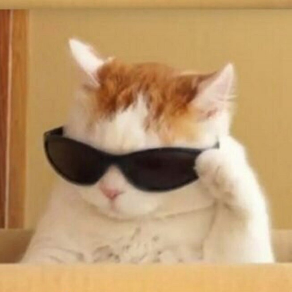 HJGCADkyQm8.jpg