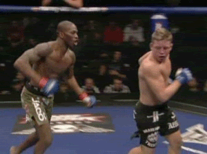 Tdk6.gif