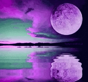 purple.gif