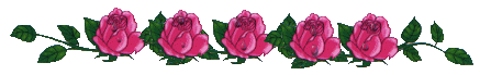 smailikai_com_15_104.gif