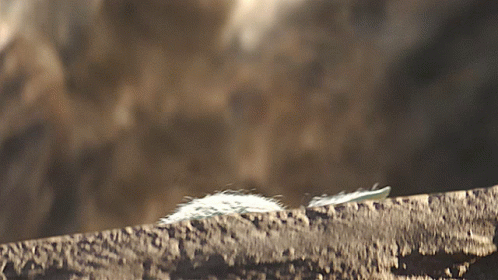 mandalorian-baby-yoda.gif